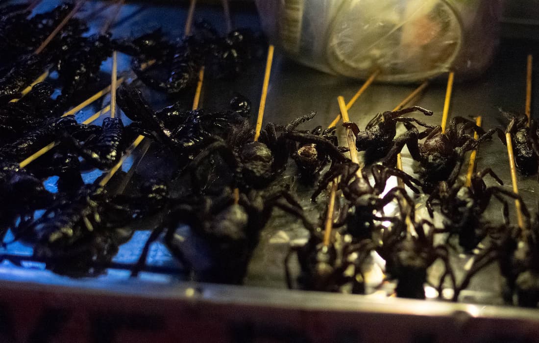 fried-insects